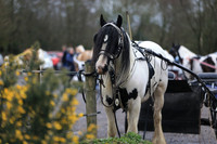 Headley Heath (2)