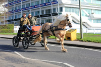Epsom Racecourse (2)