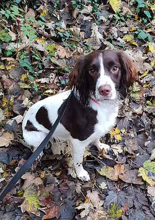 Ruby, Emma Curley