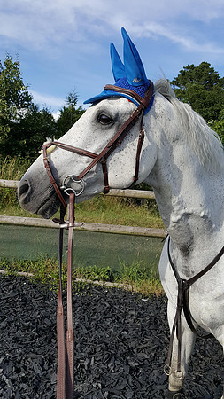 Tullow, Kathryn Hillier