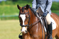 Novice Show 25th May 2025