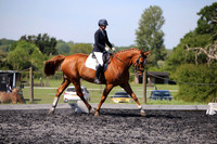Dressage 11th May 2025