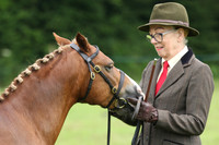 Showing - In Hand Veteran
