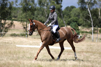 Dressage (Please note we could not fully cover this)