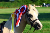 Evening Showjumping & Showing at East Bysshe 8th August 2025