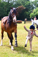 Family Pony