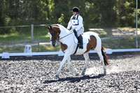 Dressage Album 1