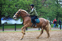 Ride 3