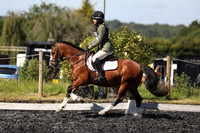 Dressage Album 2
